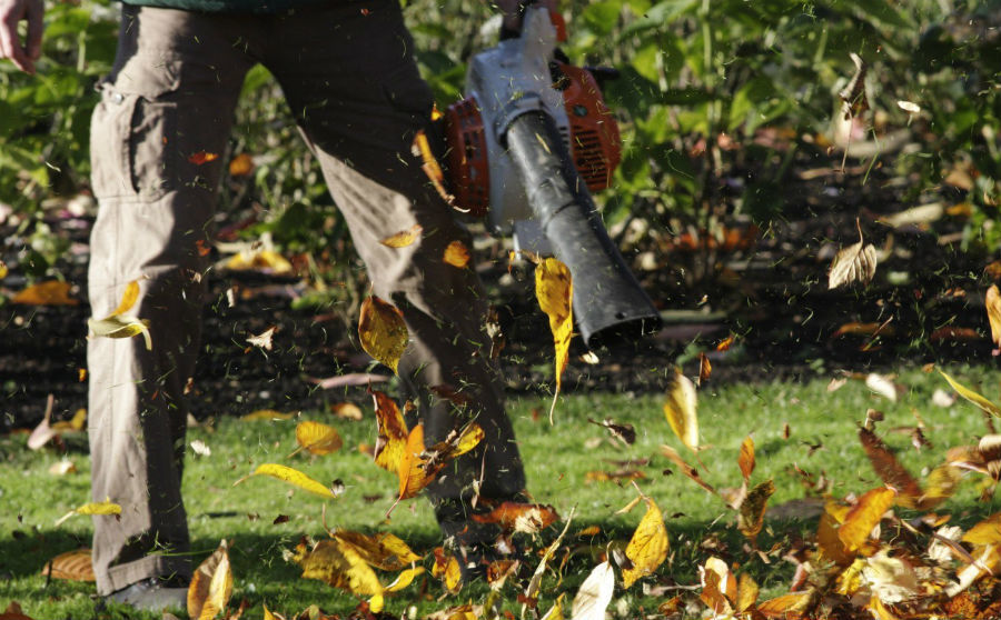 Leaf Blower Buying Guide