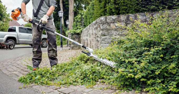 I Need A Hedge Trimmer Buyers Guide