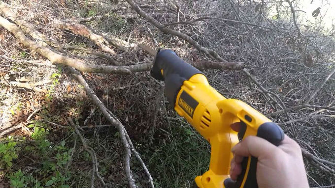 Sawzall Cutting Tree Limbs